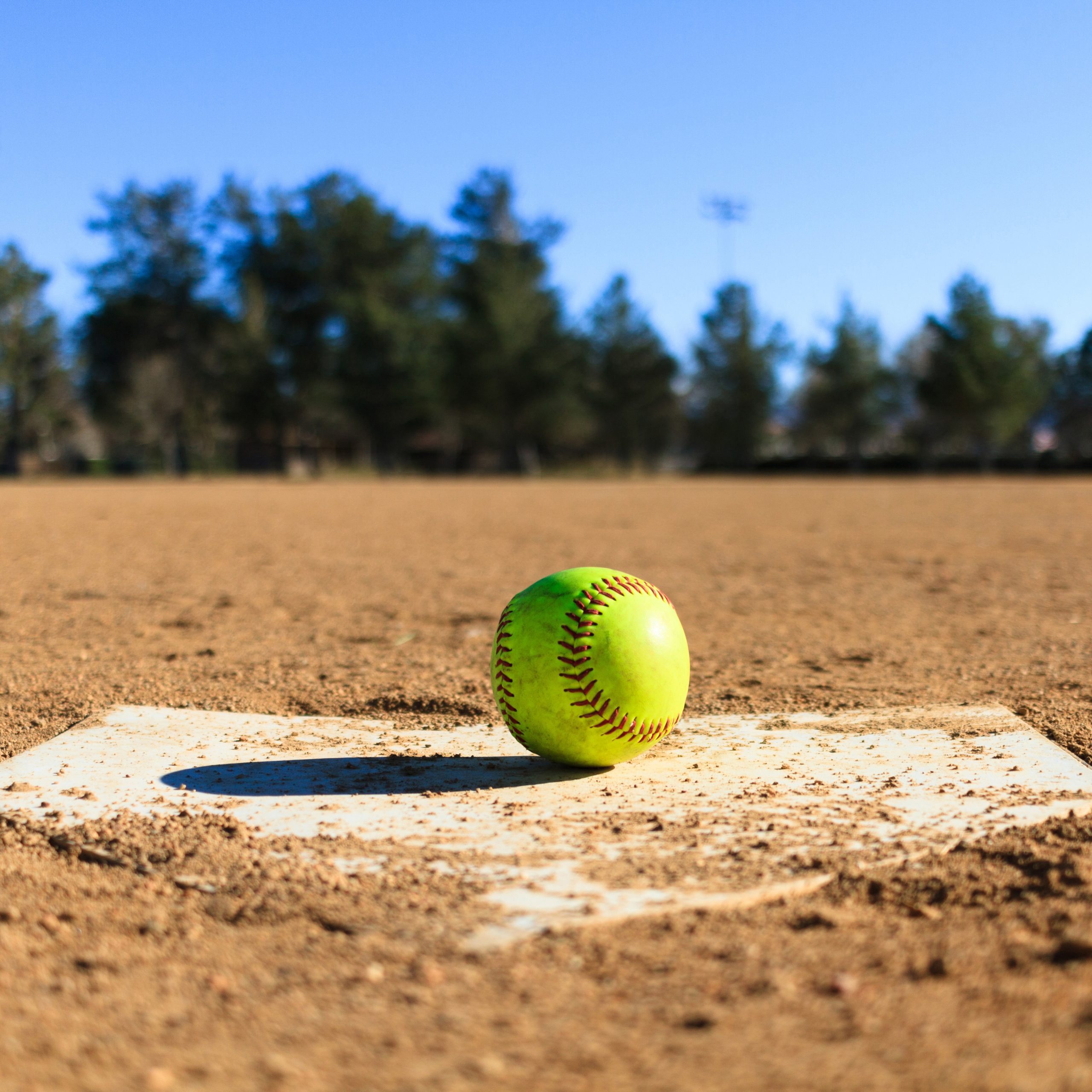 Softball Registration