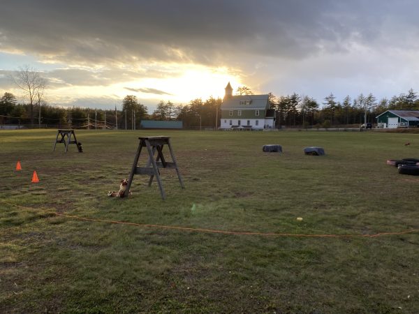 Turkey Race Course
