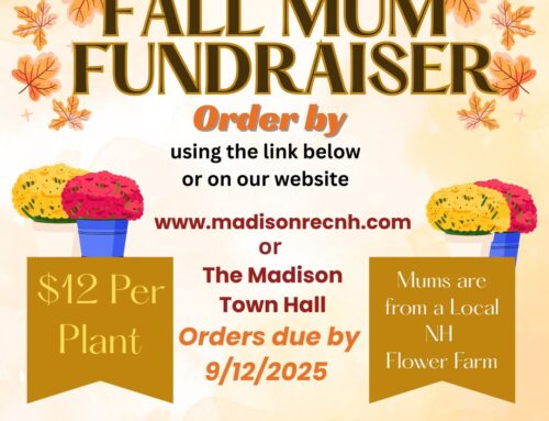 Fall Mum Fundraiser