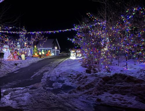 Festival of Lights Winners 2025